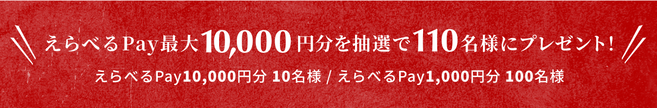 えらべるPay最大10000円分を抽選で110名様にプレゼント!