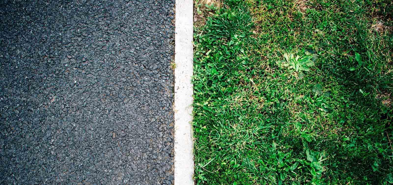 投資と投機の違いとは？株式の取引はどちらなのか？ | フィナンシャルプランナーが伝授する株式投資（第11回） | NEXT FUNDS