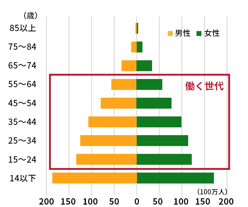 インドの人口ピラミッドのグラフ