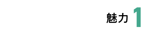 「1343」魅力 1