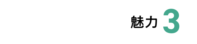 「1343」魅力 3