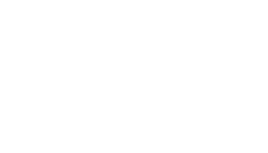 戦略17分野