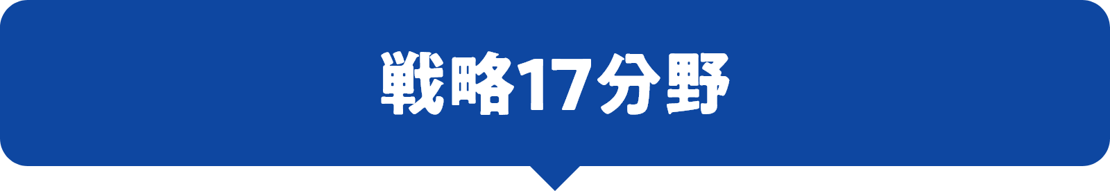 戦略17分野